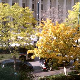 View outside the front of the Handy Networks Facility